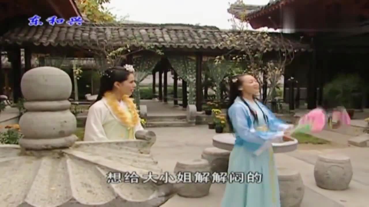 劉伯溫白小姐一肖期期準(zhǔn)，神秘預(yù)測(cè)背后的真相，劉伯溫白小姐生肖預(yù)測(cè)揭秘，神秘預(yù)測(cè)背后的真相
