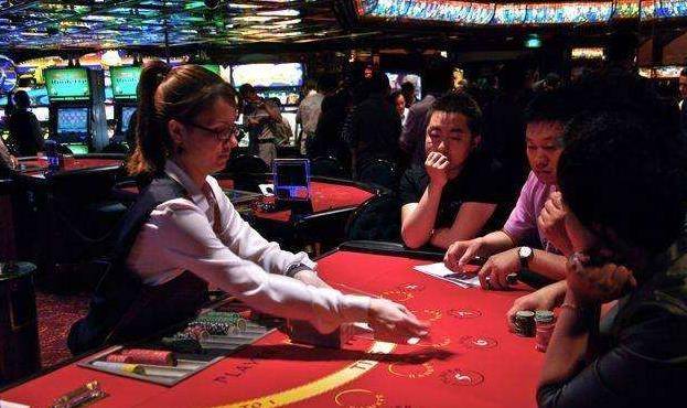 澳門金牛王中王一肖，探索背后的神秘與魅力，澳門金牛王中王一肖，神秘魅力背后的探索