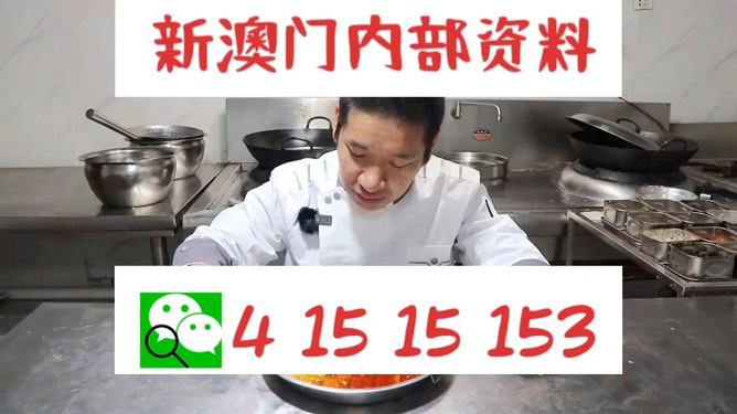 管家婆一肖資料大全，深度解析與探索，管家婆一肖資料深度解析與探索大全
