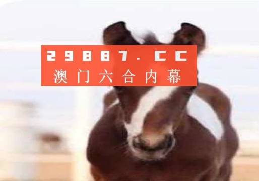 澳門必開一肖一碼安穩(wěn)，揭秘彩票背后的秘密與策略，揭秘彩票背后的秘密與策略，澳門必開一肖一碼安穩(wěn)探討