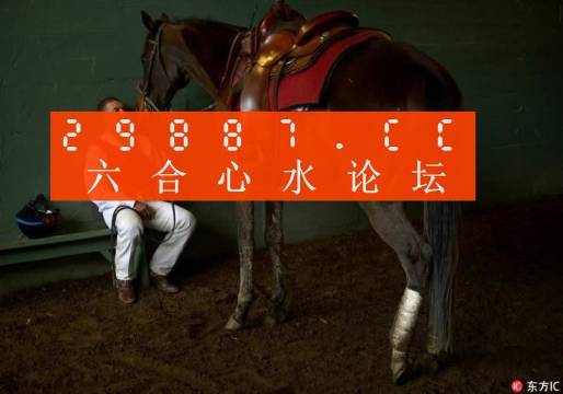 一肖一馬王中王一馬中特，深度解析與SEO優(yōu)化策略，一肖一馬王中王深度解析與SEO優(yōu)化策略探討