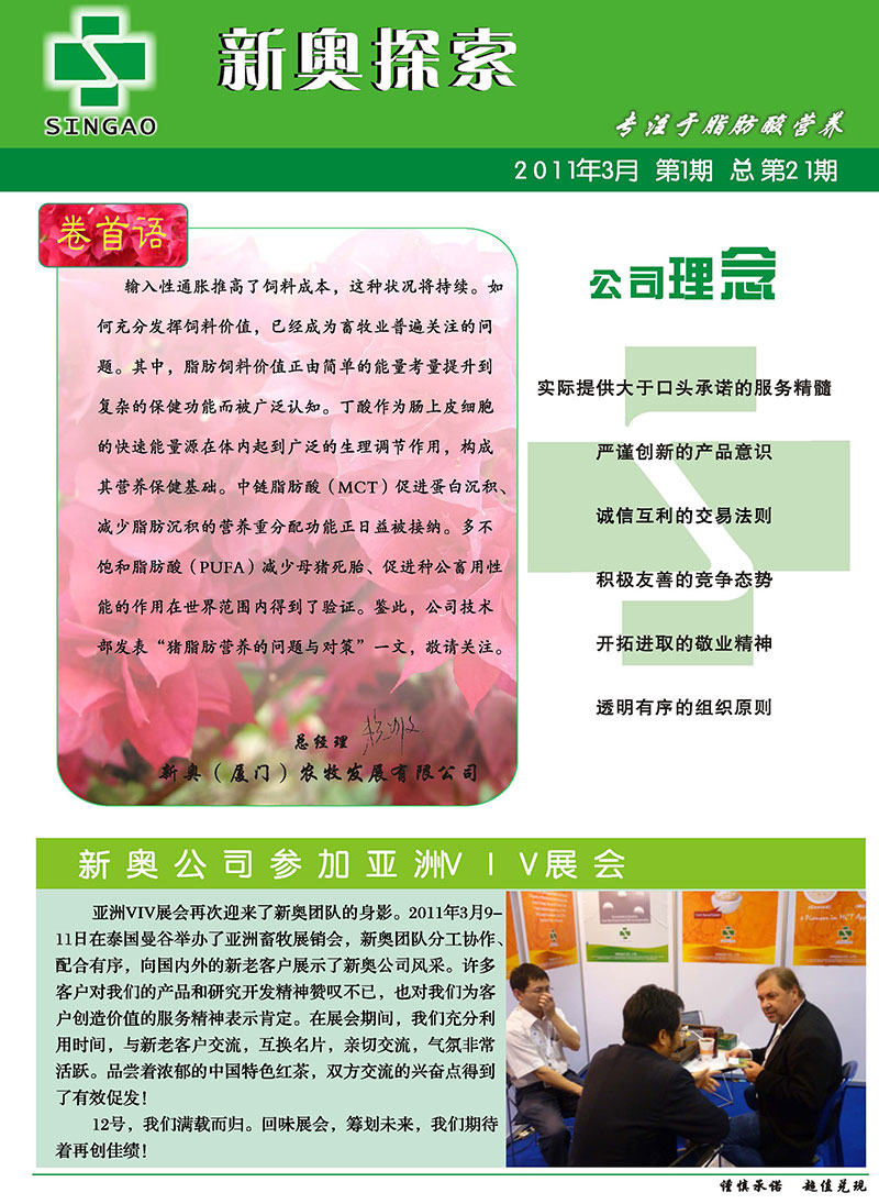 2025新澳正版資料精準(zhǔn)解析與預(yù)測，2025新澳正版資料精準(zhǔn)解析與趨勢預(yù)測