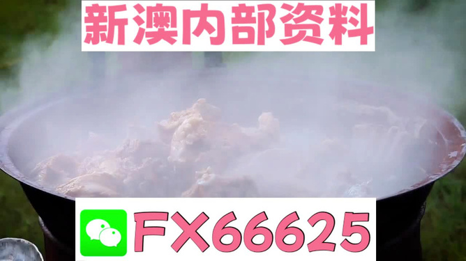 新澳全年免費資料大全，一站式獲取優(yōu)質資源指南，新澳全年優(yōu)質資源免費獲取指南
