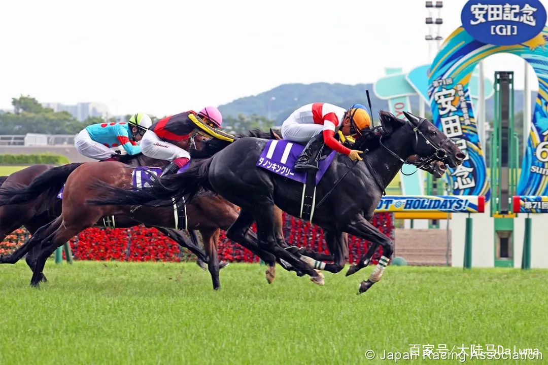 香港王中王與一馬中特肖的獨(dú)特魅力，深度解析與探索，香港王中王與一馬中特肖的獨(dú)特魅力，深度探索與解析