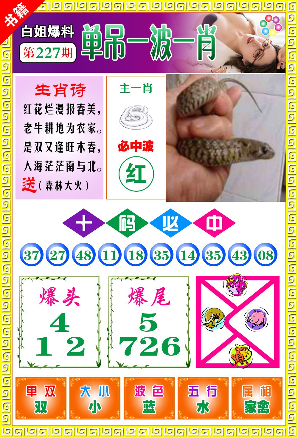 王中王免費(fèi)開(kāi)獎(jiǎng)一肖結(jié)果，揭秘彩票背后的秘密，揭秘王中王彩票開(kāi)獎(jiǎng)內(nèi)幕，一肖結(jié)果背后的秘密揭曉