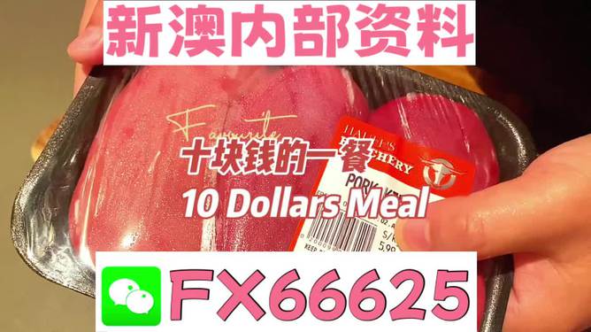 揭秘2025新澳精準(zhǔn)資料免費(fèi)大全——一站式獲取最新資源，揭秘2025新澳精準(zhǔn)資料免費(fèi)大全，最新資源一站式獲取
