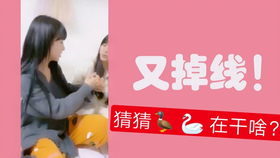 王中王欲錢詩猜一肖，王中王欲錢詩暗示的生肖之謎