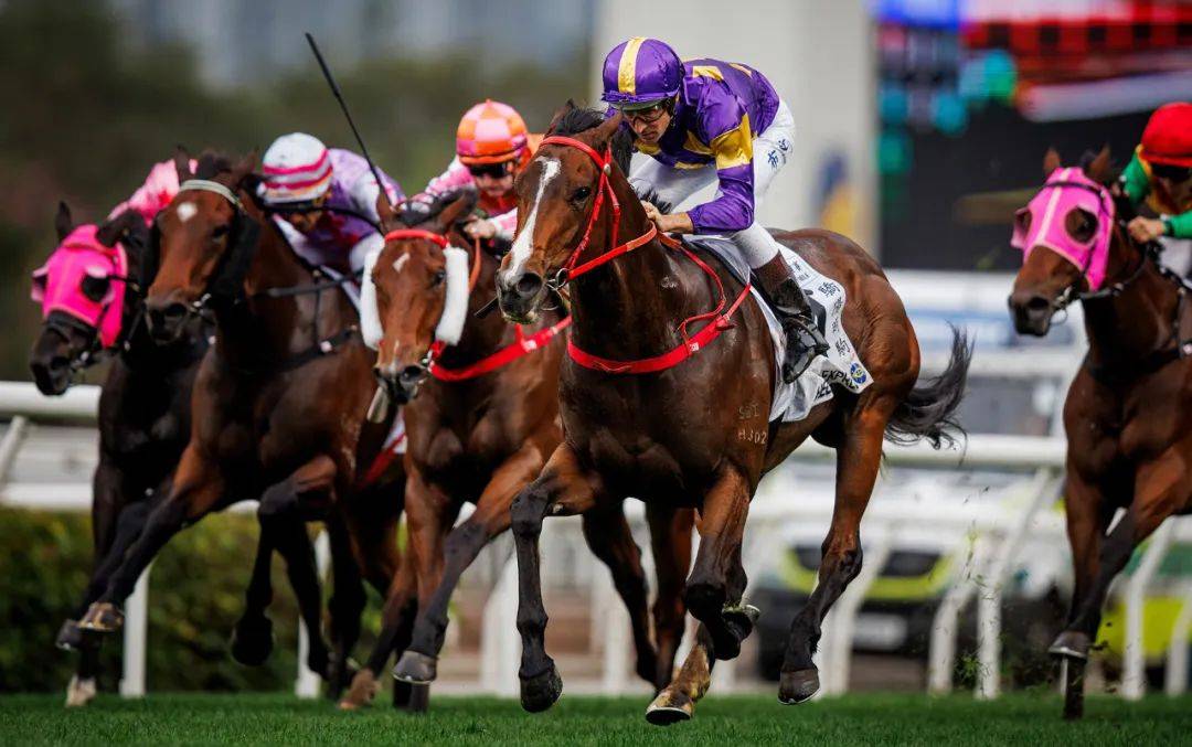 香港賽馬，探索賽馬運(yùn)動的激情與榮耀之地——7777788888的獨(dú)特魅力，香港賽馬，激情與榮耀的獨(dú)特魅力探索——777778賽馬運(yùn)動之地