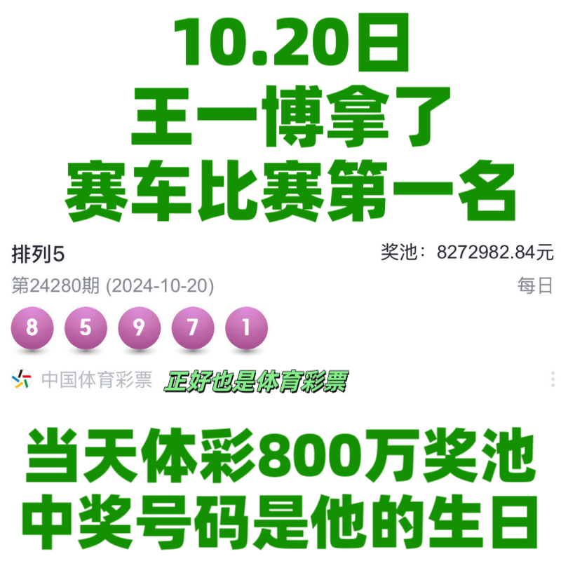 王中王一肖資料中特馬——深度解析與SEO洞察，王中王一肖特馬深度解析與SEO洞察揭秘