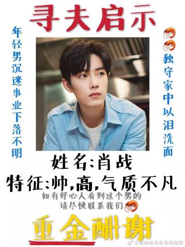 一肖一碼一一肖一子善，探尋命運密碼與智慧之光的完美結(jié)合，命運密碼與智慧之光，一肖一碼一一肖一子善的探尋