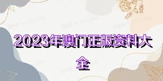 澳門資料大全正版資料查詢，探索澳門的文化與歷史深度之旅，澳門文化與歷史深度探索，正版資料大全及查詢指南