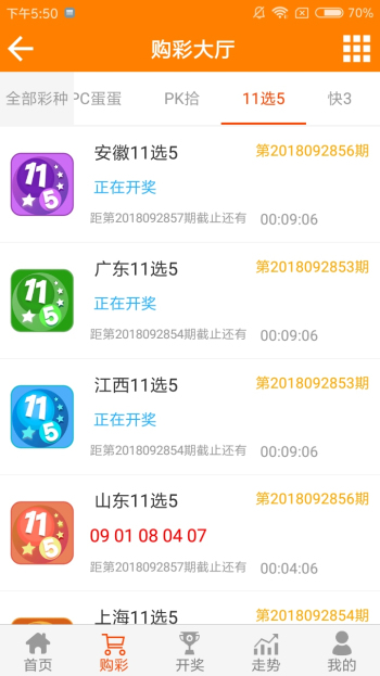 王中王資料一肖一特，深度解析與探索，王中王資料一肖一特，深度解析與探索揭秘