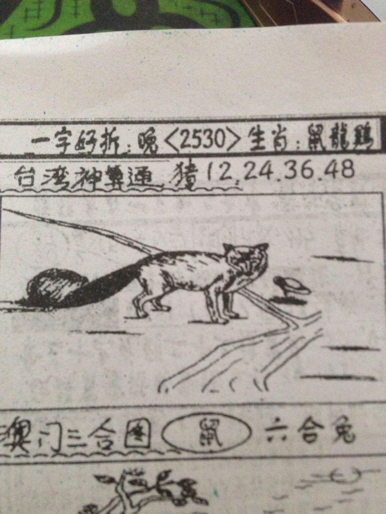 揭秘生肖奧秘，看圖猜一生肖劉伯溫的傳奇故事，揭秘生肖奧秘，劉伯溫傳奇故事中的生肖之謎探索