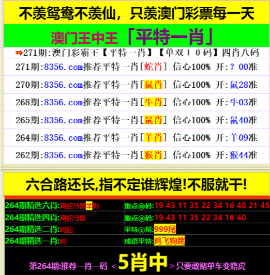 王中王資料一肖中特，深度解析與SEO優(yōu)化策略，王中王資料一肖中特深度解析與SEO優(yōu)化策略指南
