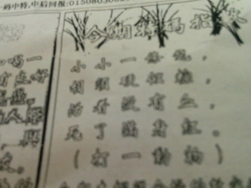 揭秘劉伯溫的一肖一特，探尋神秘傳奇背后的真相，劉伯溫傳奇揭秘，揭秘生肖之謎與獨特特質(zhì)背后的真相