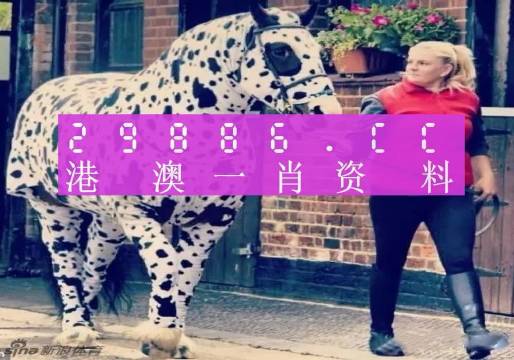 澳門王中王，揭秘一肖中特資料背后的秘密，澳門王中王揭秘，一肖中特資料背后的秘密傳奇