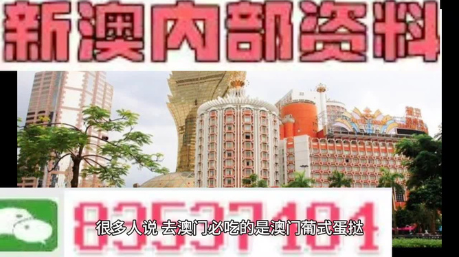 探索未來，2025年新澳門免費資料概覽，探索未來，2025新澳門免費資料概覽