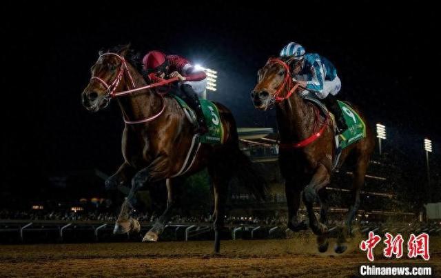 香港王中王一肖中特馬，探索背后的奧秘，香港王中王一肖中特馬背后的奧秘探索