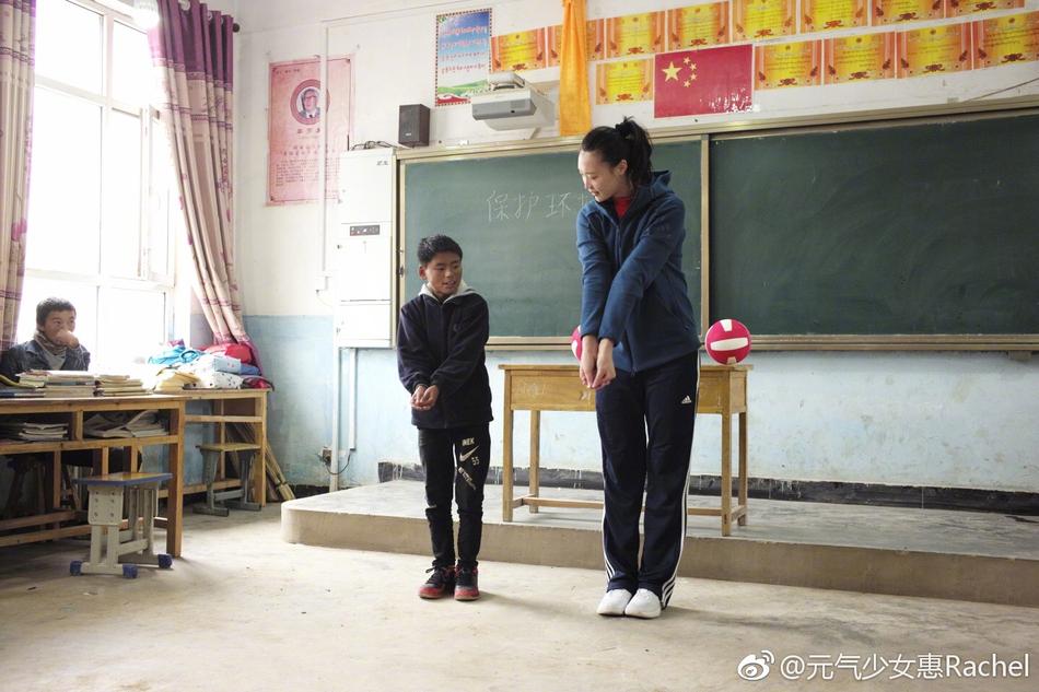 王中王平特一肖一大公開，深度解析與探索，王中王平特一肖公開，深度解析與探索揭秘