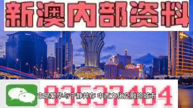 新澳門精準資料大全，探索與解析，新澳門精準資料大全，深度探索與解析