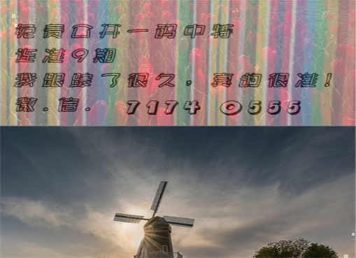 王中王四肖三期必出一期，揭秘彩票背后的秘密策略與技巧，揭秘彩票策略與技巧，王中王四肖三期必出一期之道