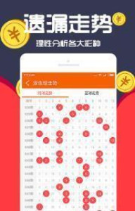 王中王一肖十，深度解析與SEO優(yōu)化策略，王中王一肖十深度解析與SEO優(yōu)化策略探討