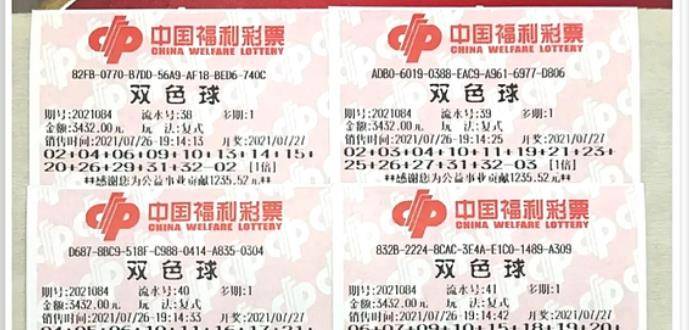 王中王084期指一生肖，解讀背后的秘密與生肖運勢分析，王中王084期生肖揭秘，秘密解讀與運勢展望