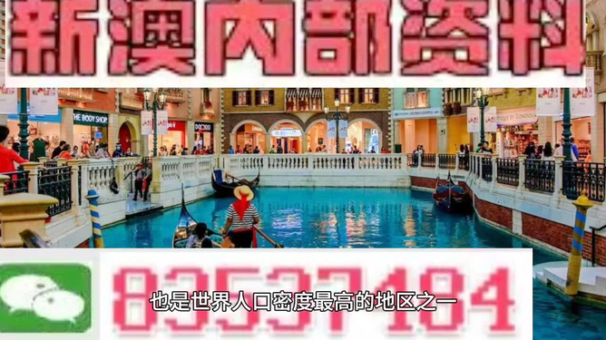 澳門王中王六碼新澳門，探索與解析，澳門王中王六碼新澳門，深度探索與解析