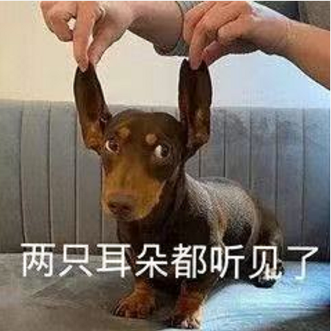 王中王四不象必中一肖，揭秘背后的秘密與策略，揭秘王中王四不象必中一肖背后的秘密與策略之道