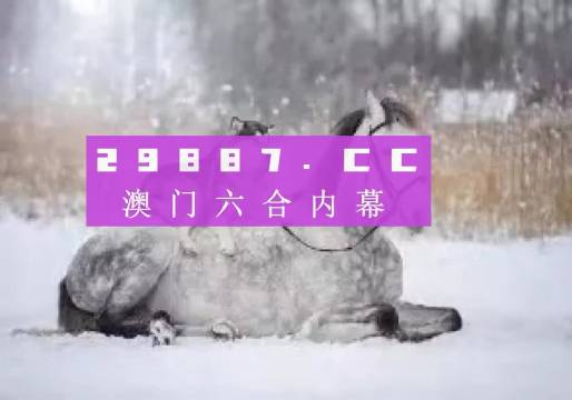 澳門正版精準資料，探索未來的趨勢與機遇（2024年展望），澳門正版精準資料揭秘，未來趨勢與機遇展望（2024年）
