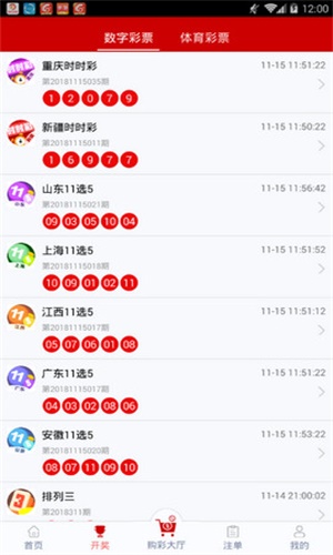 一碼一肖，揭秘背后的秘密與探索其獨特魅力，揭秘一碼一肖背后的秘密與獨特魅力探索