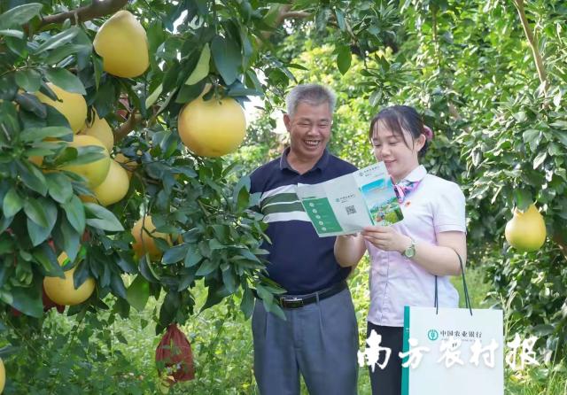 資料大全正版資料2025，一站式獲取所有你需要的信息，資料大全正版資料2025，一站式獲取所有信息總匯