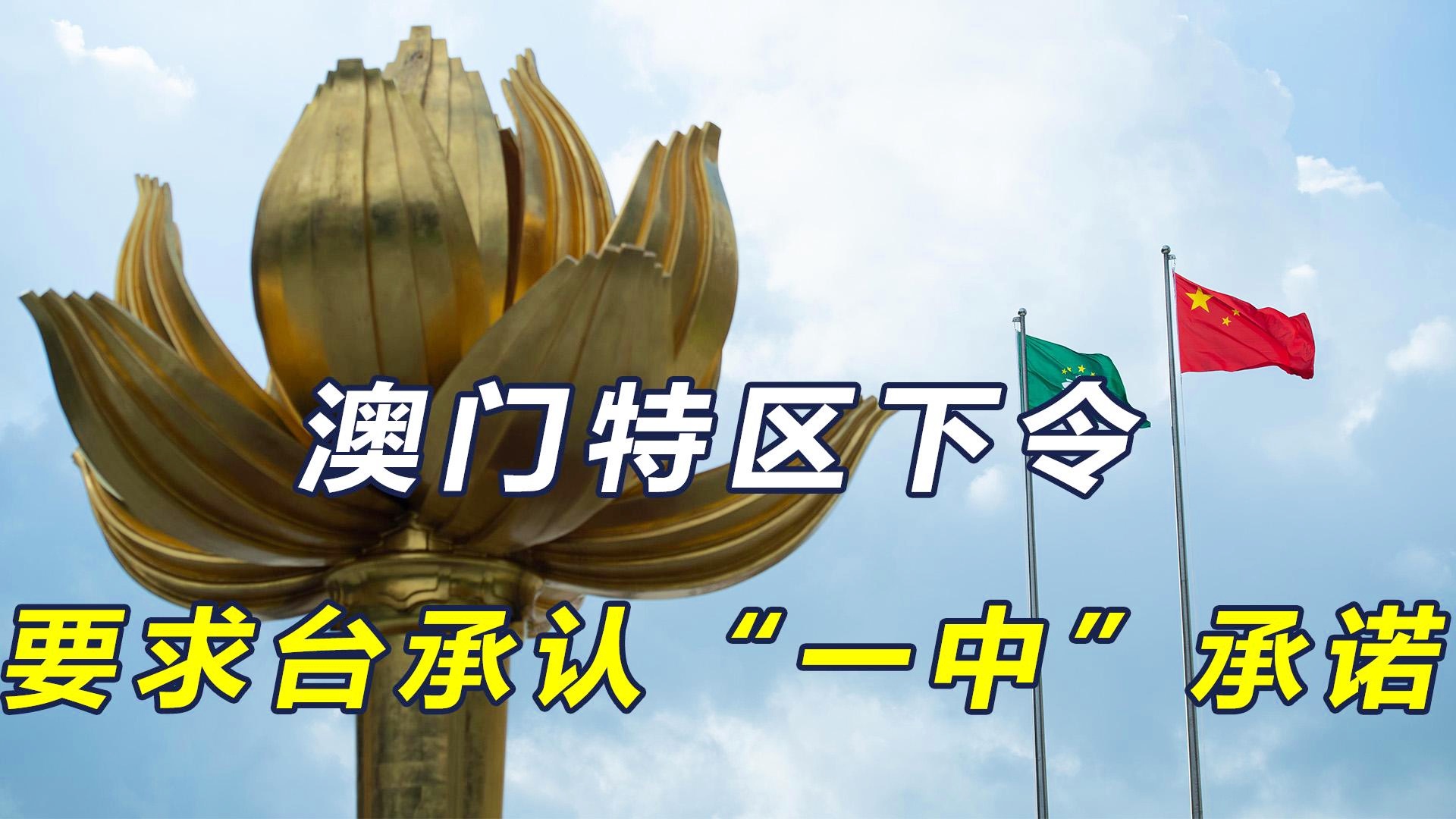 澳門一碼一肖一恃一中312期，揭秘與探索彩票文化背后的秘密，澳門彩票文化揭秘，一碼一肖背后的探索與奧秘