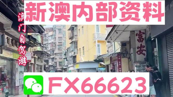 港澳免費(fèi)精準(zhǔn)資料大全——探索與發(fā)現(xiàn)，港澳免費(fèi)精準(zhǔn)資料大全，深度探索與發(fā)現(xiàn)之旅