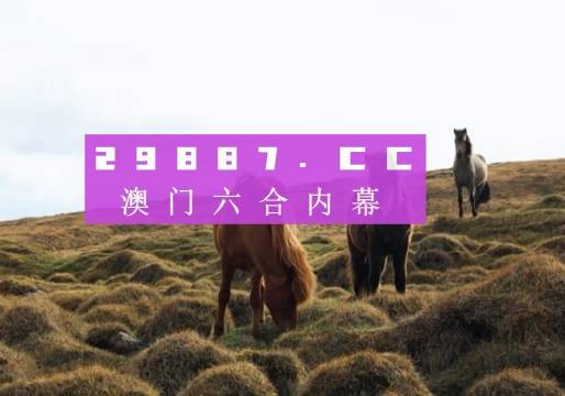 澳門六開獎結(jié)果2023開獎記錄查詢網(wǎng)站——全面解析與最新資訊，澳門六開獎結(jié)果最新解析與資訊，全面查詢2023年開獎記錄