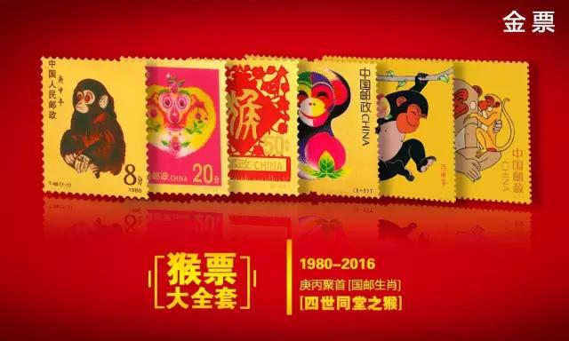 王中王324期指一生肖，揭秘背后的秘密與生肖運勢分析，揭秘王中王生肖背后的秘密與運勢分析，生肖運勢大揭秘！