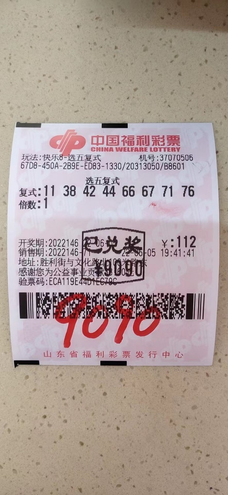 揭秘002期王中王平特一肖，背后的故事與奧秘，揭秘王中王平特一肖背后的故事與奧秘（第002期）