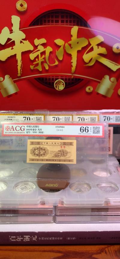王中王平特一肖125，揭秘背后的故事與奧秘，揭秘王中王平特一肖背后的故事與奧秘 125號揭秘真相