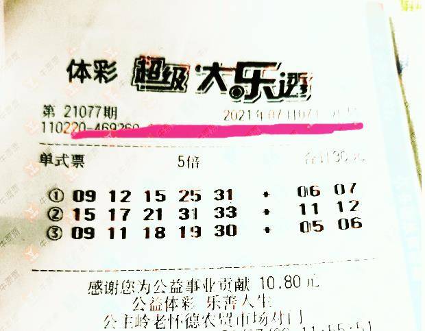 王中王077期指一生肖——揭秘背后的奧秘與生肖運勢分析，揭秘生肖奧秘與運勢分析，王中王生肖預測077期揭曉！