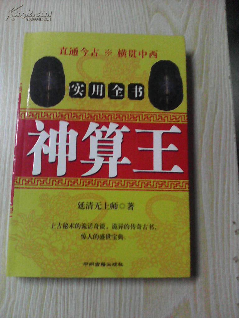 王中王資料一肖中特，揭秘神秘神算子背后的故事，揭秘神算子背后的故事，王中王資料一肖中特傳奇