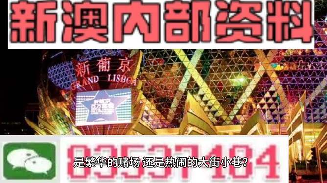 新澳門精準資料大全管家婆料，探索與解析，澳門精準資料大全解析，探索管家婆料內(nèi)幕