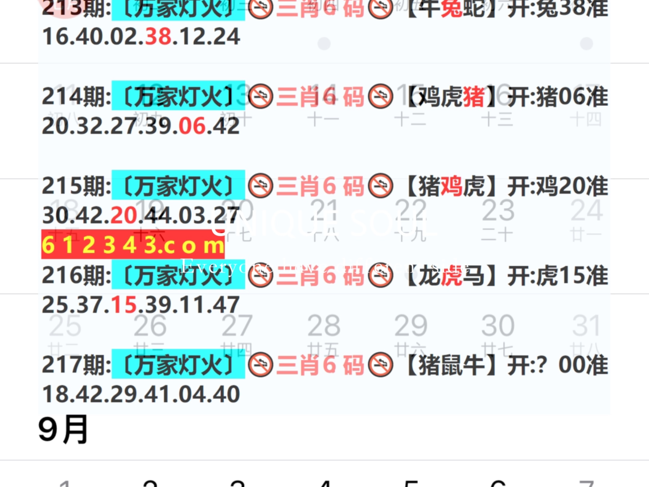 新奧今日六肖中特，揭秘背后的秘密與趨勢分析，揭秘新奧今日六肖中特背后的秘密與趨勢分析
