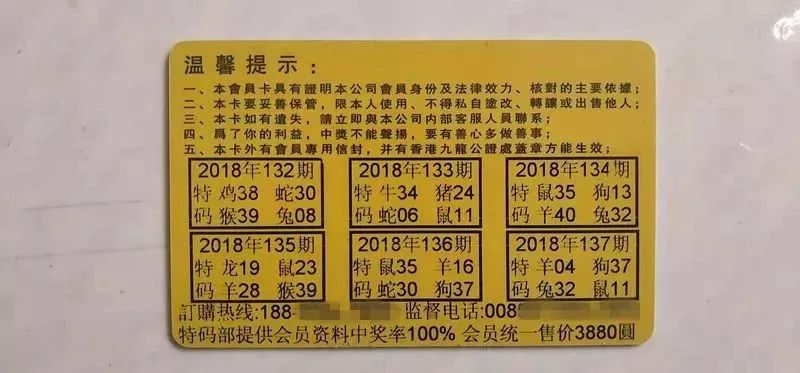 香港中特期期準(zhǔn)資料，深度解析與探索，香港中特期期準(zhǔn)資料深度解析與探索報(bào)告