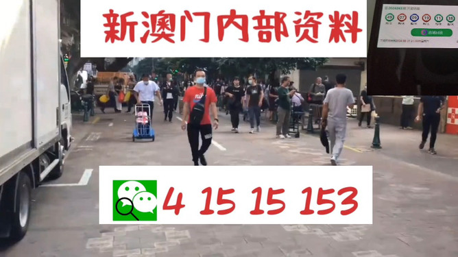 澳門管家婆一馬一中一開，揭秘背后的秘密與策略，澳門管家婆一馬一中一開，揭秘背后的秘密與策略揭秘背后的秘密與策略
