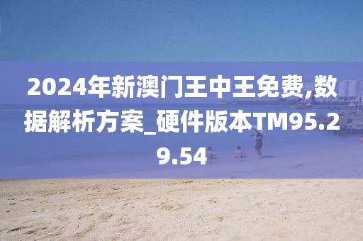 揭秘未來之星，2025新澳王中王，揭秘未來之星，2025新澳王中王風采展示