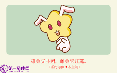 揭秘精準(zhǔn)生肖，探尋神奇的數(shù)字組合777778與888888背后的生肖秘密，揭秘生肖秘密，數(shù)字組合777778與888888背后的生肖傳奇