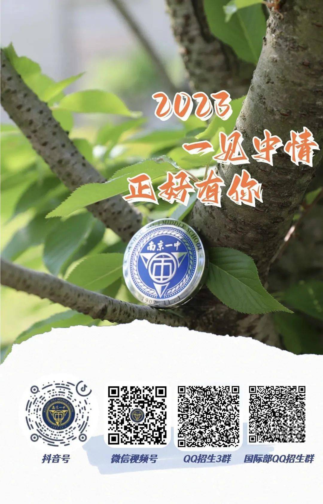一碼一肖一特一中，揭秘背后的秘密與奧秘，揭秘一碼一肖一特一中背后的秘密奧秘