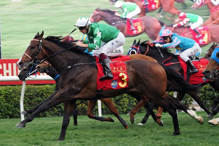 探索香港馬官網(wǎng)，一站式體驗7777788888的賽馬世界，探索香港馬官網(wǎng)，一站式賽馬世界體驗