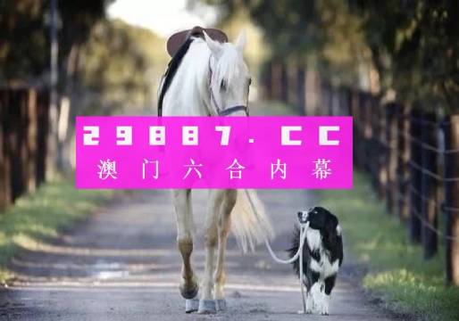澳門彩的奧秘世界與SEO優(yōu)化策略探討 —— www.04812com的獨(dú)家解析，澳門彩奧秘與SEO優(yōu)化策略獨(dú)家解析，www.04812com深度探討