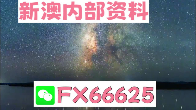 新澳天天彩開獎資料大全正版，全面解析與實用指南，新澳天天彩開獎資料正版解析與實用指南